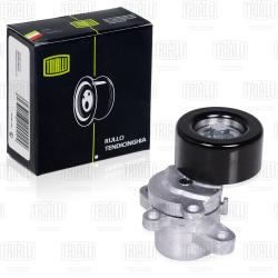 Ролик привод. ремня для а/м Nissan Teana (08-) 2.5i/3.5i (с натяж. мех.) (CM 1407)