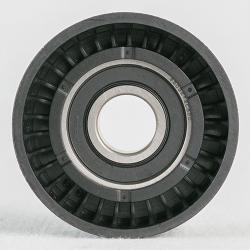 Ролик ремня приводного FORD TRANSIT 2.4D/3.2D 06- AG03134