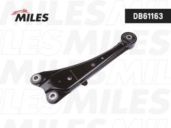DB61163 Рычаг TOYOTA RAV4 05- зад.подв.прав.