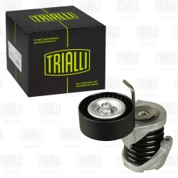 Ролик привод. ремня для а/м BMW 3 E90 (05-) 1.6i/1.8i/2.0i [N43; 46] (с натяж. мех.) (CM 5465)