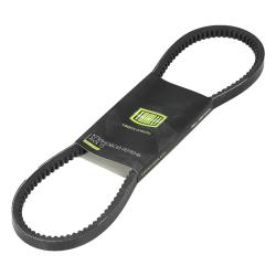 TRIALLI AVX13X875 Ремень приводной для автомобилей ГАЗель Бизнес (умз. 4216 Евро-3) зубчатый (AVX13X875)