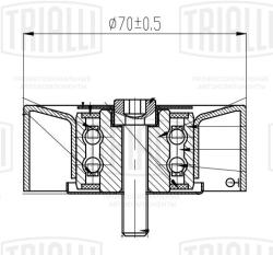 Ролик привод. ремня для а/м BMW X5 E53 (99-) 3.0d [M57N] (опор.) ген. (CM 5680)