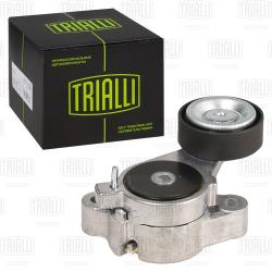 Ролик привод. ремня для а/м VW Golf VI (08-)/Tiguan (08-) 1.4TSi (с натяж. мех.) компрес. (CM 5756)