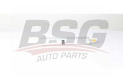 Фильтр топливный BMW F20/MINI 1.6D/2.0D 10- BSG 15-130-004