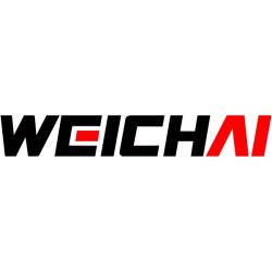 Фильтр топливный тонкой очистки 1001362240