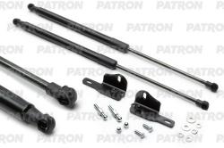 PGS100101 Амортизатор капота