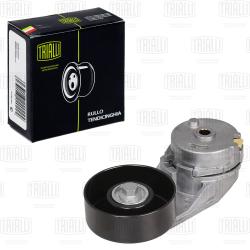 Ролик привод. ремня для а/м Chevrolet Captiva (11-)/Opel Antara (06-) 2.0T/2.4i (с натяж. мех.) (CM 0506)