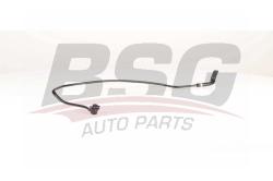 Трубка подогрева дроссельной заслонки OPEL ASTRA/ZAFIRA B BSG 65-725-007