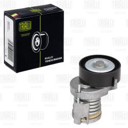 Ролик привод. ремня для а/м Skoda Octavia (96-)/VW Golf IV (97-) 1.4i/1.6i AC- (с натяж. мех.) (CM 1840)