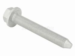 Болт заднего амортизатора RENAULT KANGOO II 2007-2018/RENAULT DUSTER 2009-2018/RENAULT CAPTUR KAPTUR