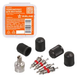 Ремкомплект для вентилей (4 золотника, 4 пласт.колп, 1 ключ) в кейсе (ATRS002)