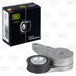 Ролик привод. ремня для а/м Ford Kuga II (13-)/Focus III (11-) 1.5T/1.6T (с натяж. мех) (CM 5463)