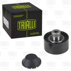 Ролик привод. ремня для а/м Ford Focus II (05-)/Peugeot 307 (00-) 1.4d/1.6d (опор.) d60 (CM 5775)