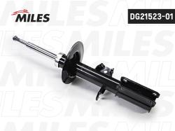 DG21523-01 Амортизатор BMW X5 E53 пер.прав.газ.