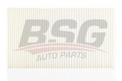 Фильтр салона AUDI A4/A6 97- BSG 90-145-009