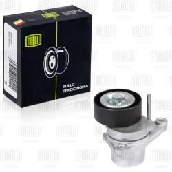 Ролик привод. ремня для а/м Peugeot 307 (00-) 1.4i/1.6i A/C+ без ГУР (с натяж.мех.) d65 (CM 2005)