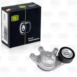 Ролик привод. ремня для а/м BMW 3 F30 (11-)/5 F10 (11-) 2.0i [N20;26] (с натяж. мех.) (CM 2608)