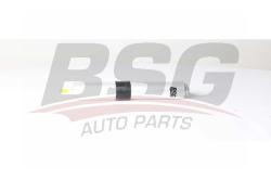 Фильтр топливный BMW E90/E84/F25 2.0D-3.0D BSG 15-130-005