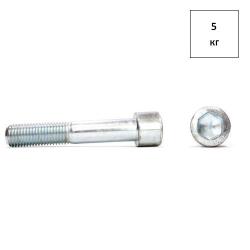 Винт 12х100 кп 10.9 DIN 912 оц. (РМЗ) 5кг FORTLUFT sts021128