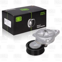 Ролик привод. ремня для а/м Ford Focus I (98-) 1.6i/1.8i/2.0i Zetec-E (с натяж. мех.) (CM 1007)