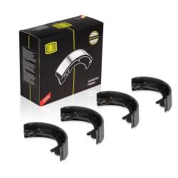 TRIALLI GF 1665 Колодки тормозные барабанные для автомобилей Iveco Daily (99-)/Daily (06-)/Daily (11-) стояночного тормоза 170x42