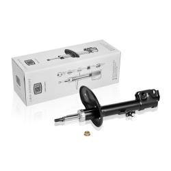 TRIALLI AG 19359 Амортизатор для автомобилей Toyota RAV4 (00-) / Chery Tiggo T11 (06-) (стойка) передний правый (5 дв.)