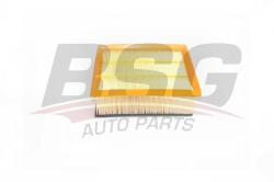 Фильтр воздушный FIAT PUNTO/DOBLO 1.4/1.6D/1.9D/2.0D 05- BSG 25-135-005