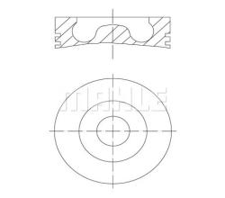 Поршень в комплекте 0160700
