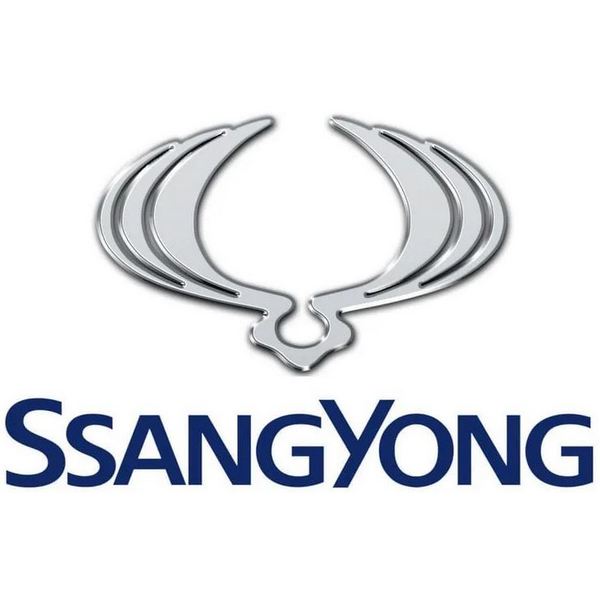 SSANG YONG