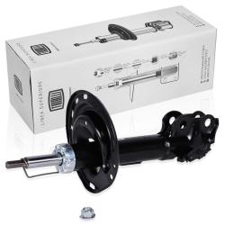 TRIALLI AG 19162 Амортизатор для автомобилей Toyota Camry (11-) (стойка) передний левый