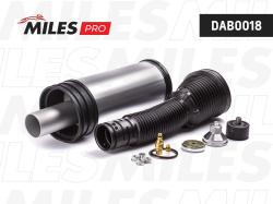 Пневмобаллон MB S-Class W220 00-06 задн. DAB0018