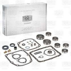 Ремкомплект КПП (4-5 ступ.) для а/м Лада 2101 (полный) (CTS 726)