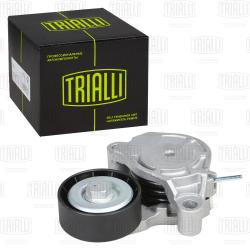 Ролик привод. ремня для а/м BMW X1 F48 (15-) 1.2i/1.5i/2.0i/1.5d/2.0d [B46/8;36/8;37/7] (с натяж. мех.) (CM 5842)