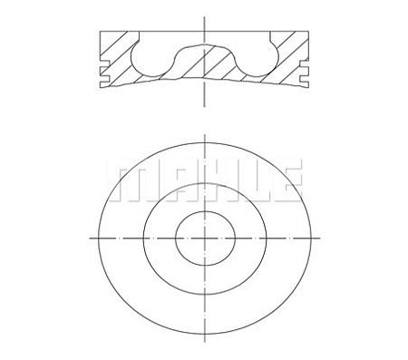 Поршень в комплекте 0160700
