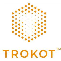 Trokot Органайзер в Багажник ЭКО кожа Цвет: Черный TR2355-100