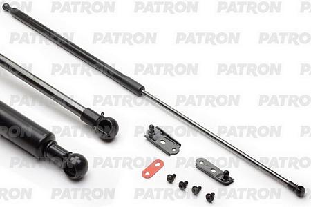 PGS100145 Амортизатор крышки багажника