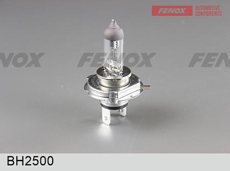 Лампа H19 12V 60/55W PU43t-3 BH2500