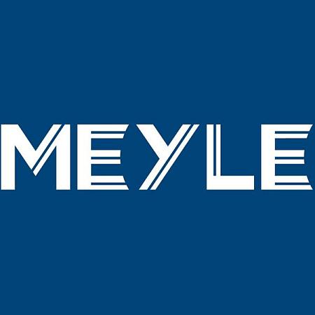 Амортизатор задний L=R 126 725 0015