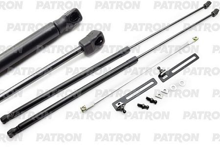 PGS100308 Амортизатор капота