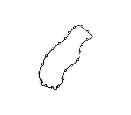 ПРОКЛАДКА КАРТЕРА 30422