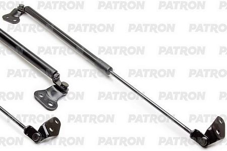 PGS100014 Амортизатор крышки багажника