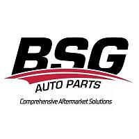 BSG