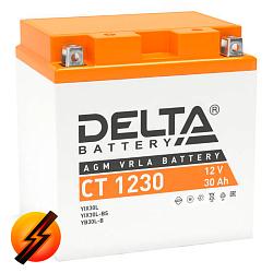 Аккумулятор DELTA мото AGM 30 А/ч YTX30L-BS CT 1230