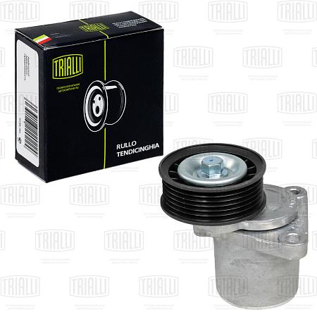 Ролик привод. ремня для а/м Ford Mondeo III (00-)/IV (07-) 1.8i/2.0i/2.3i (с натяж. мех.) (CM 0933)