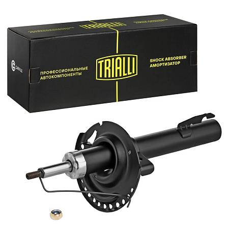 TRIALLI AG 09054 Амортизатор для автомобилей Renault Megane (02-) стандартная подвеска (стойка) передний левый / правый