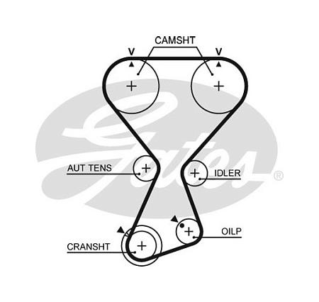 Ремень ГРМ t313