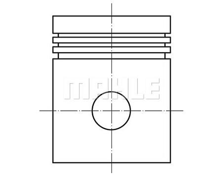Поршень в комплекте 0156102