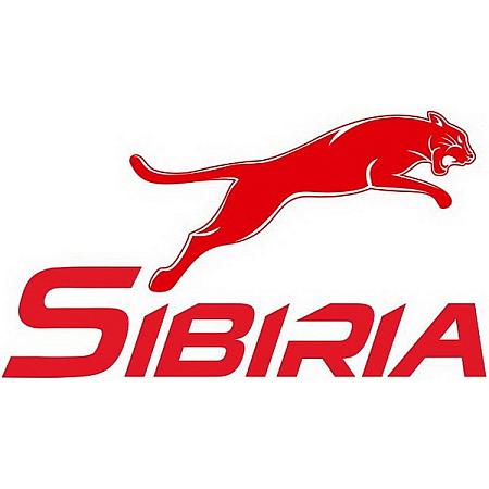 Антифриз SIBIRIA красный G12 (5кг) 805600