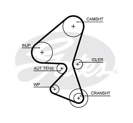 Ремень ГРМ 5656xs