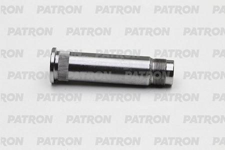 Цапфа рычага PTB2018